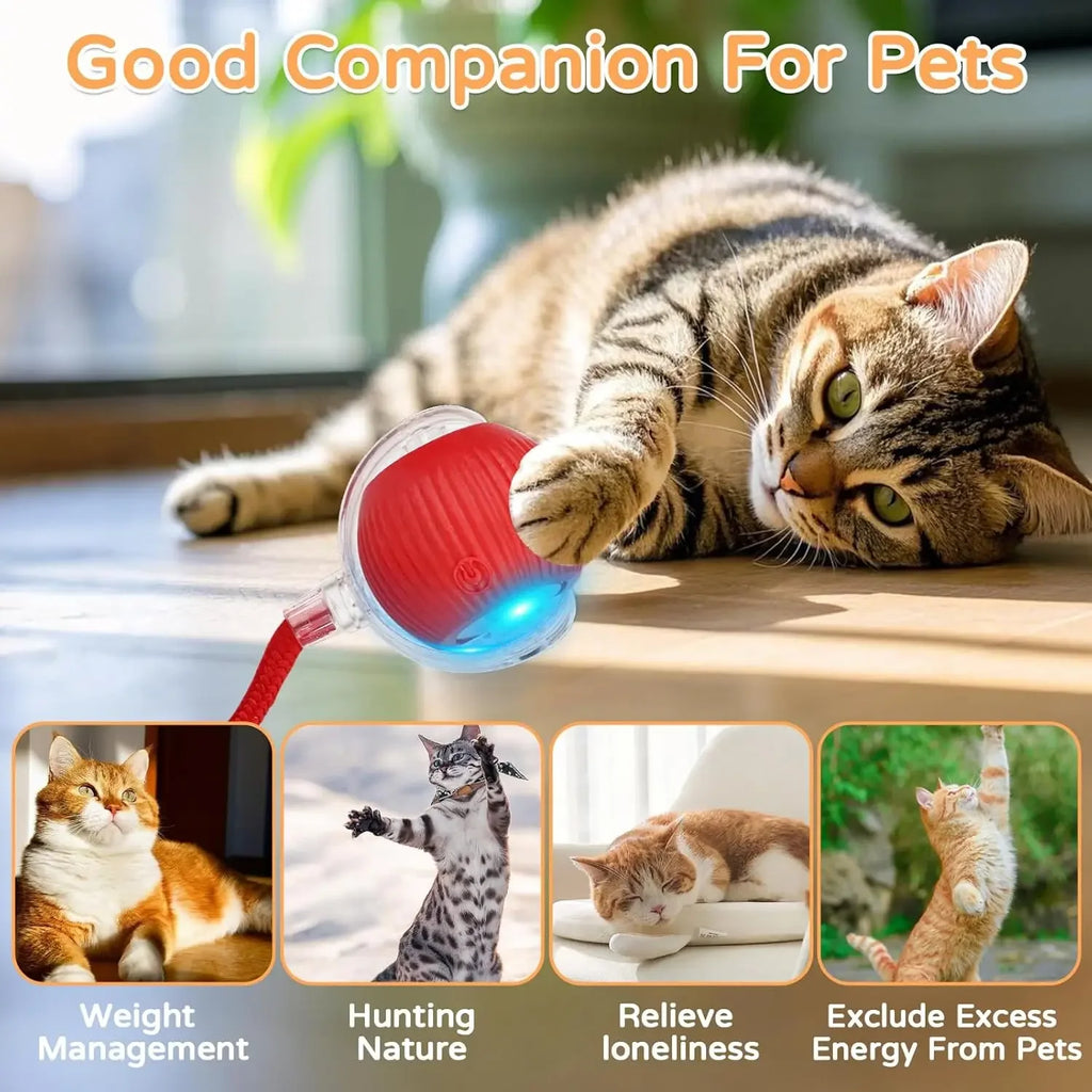 Pelota Interactiva para Gatos con Cola | Juguete Eléctrico Inteligente con Movimiento Automático
