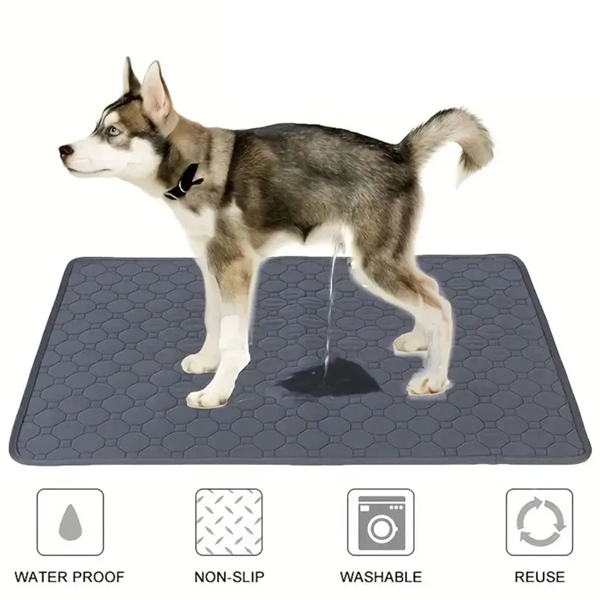 Empapador Reutilizable para Perros | Alfombrilla Impermeable para Coche, Sofá y Suelo | Soly