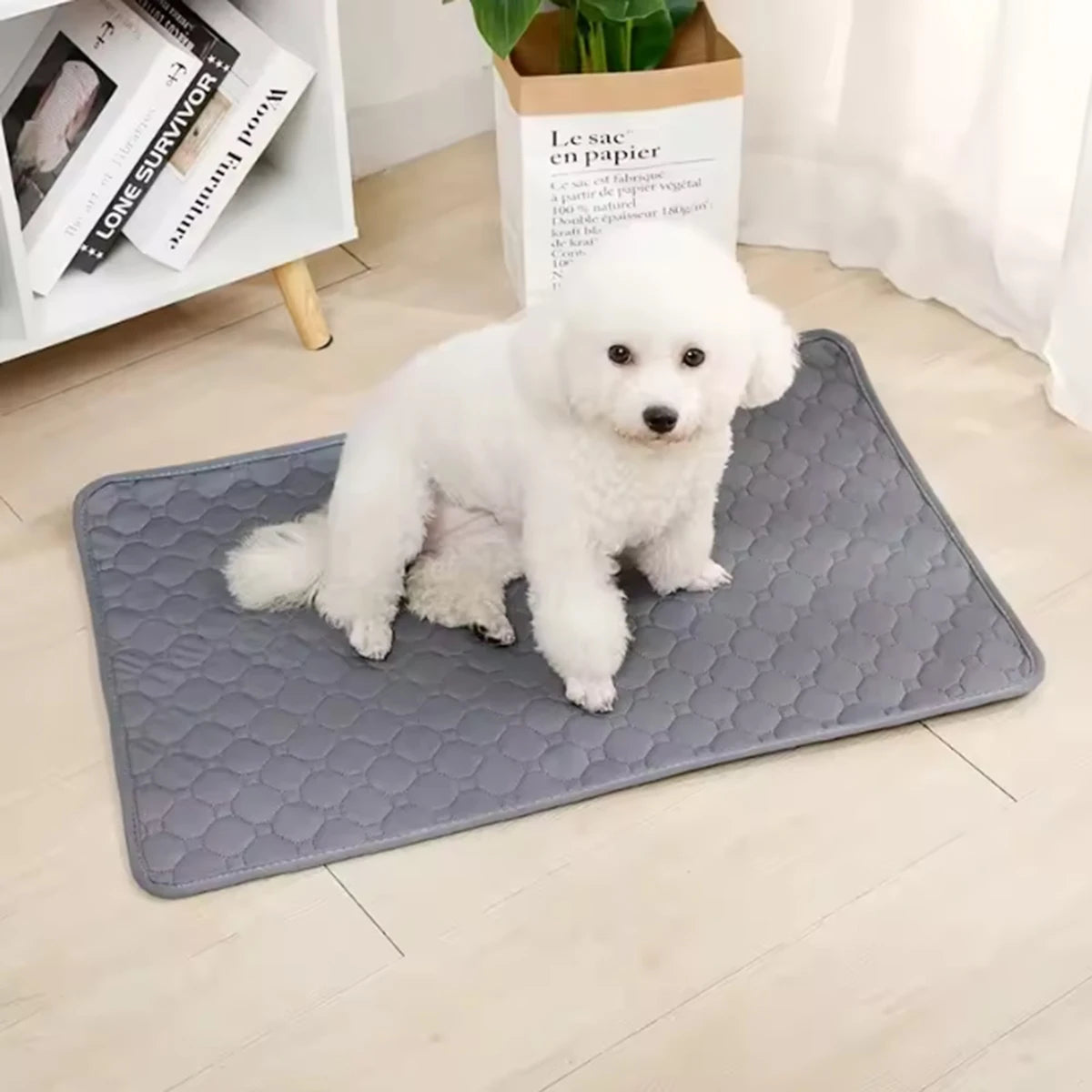 Empapador Reutilizable para Perros | Alfombrilla Impermeable para Coche, Sofá y Suelo | Soly